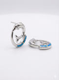 Dolphin Earrings_1