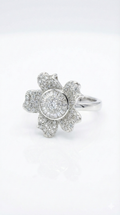 Eternal Bloom_2