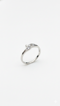 Intertwined Luminous Band_1