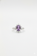 Lavender Radiance_3