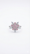 Pink Petal Radiance_1