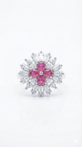 Rose Petal Radiance_1