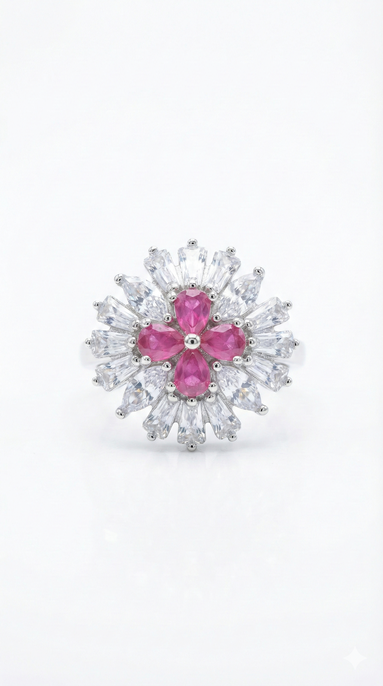 Rose Petal Radiance_1