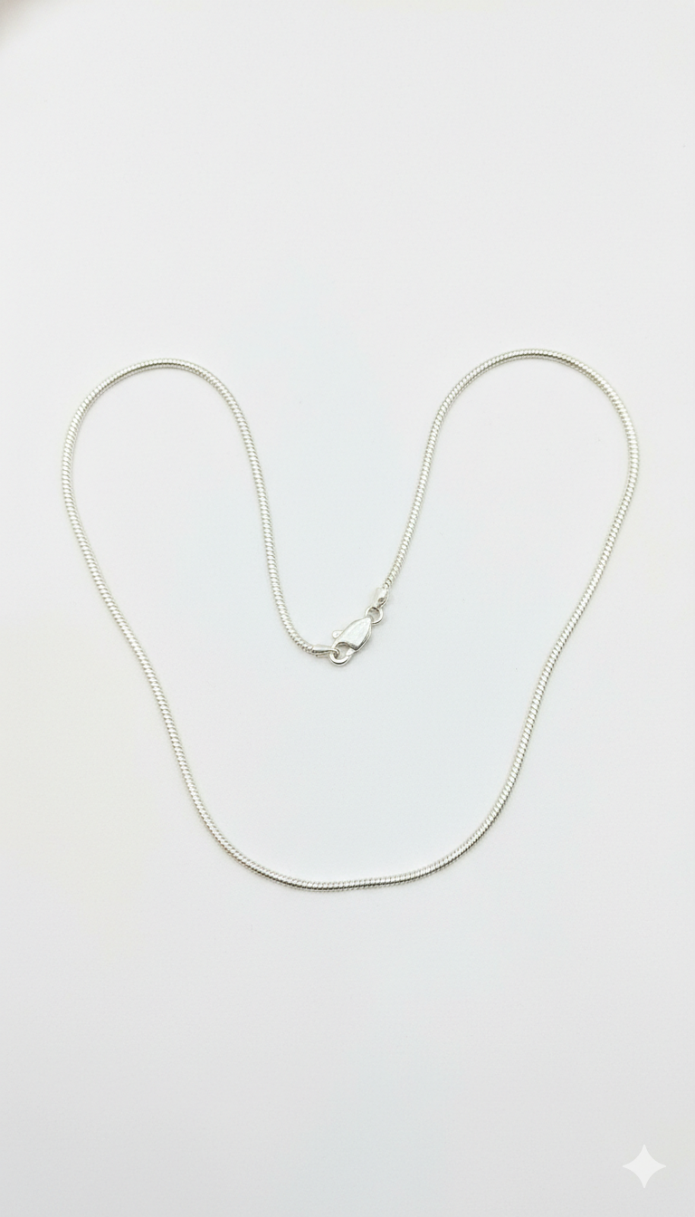 Sleek Silver Chain_1