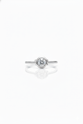 The Celestial Orbit Ring_1