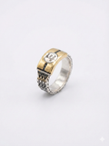 The Divine Seal Ring_1