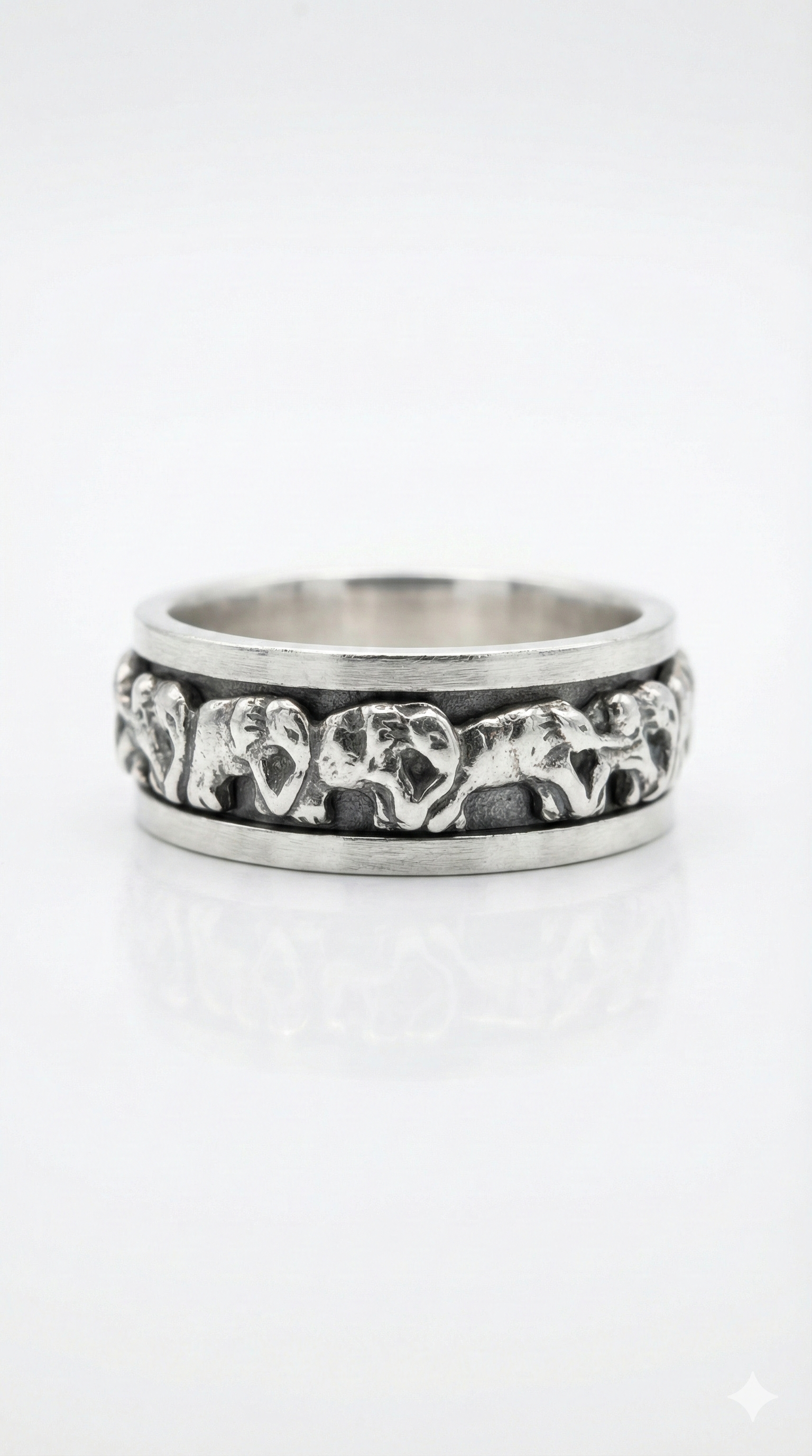 The Elephant Orbit_1