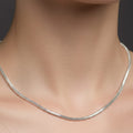 The Silver Curve_1