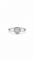 The Silver Primrose_1