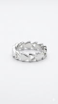 The Silver Prism Band_1