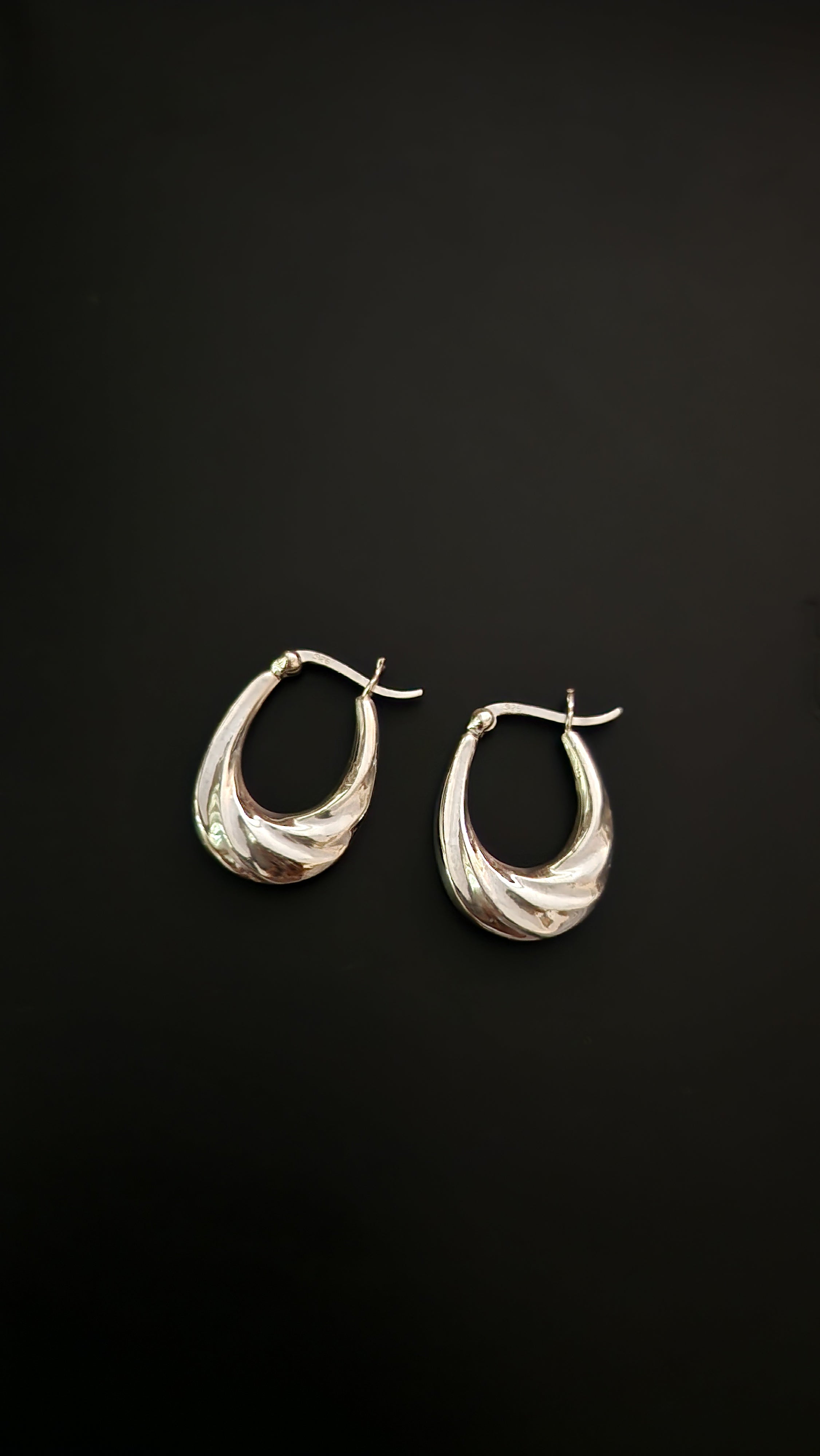 Twisted Hoop Earrings