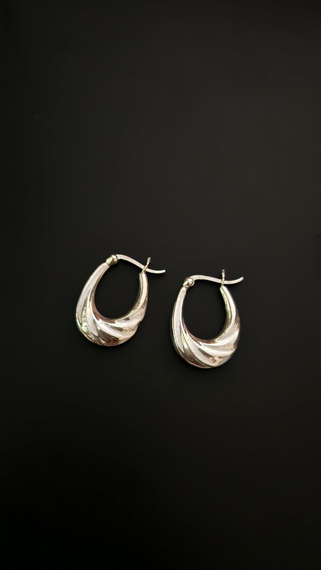 Twisted Hoop Earrings