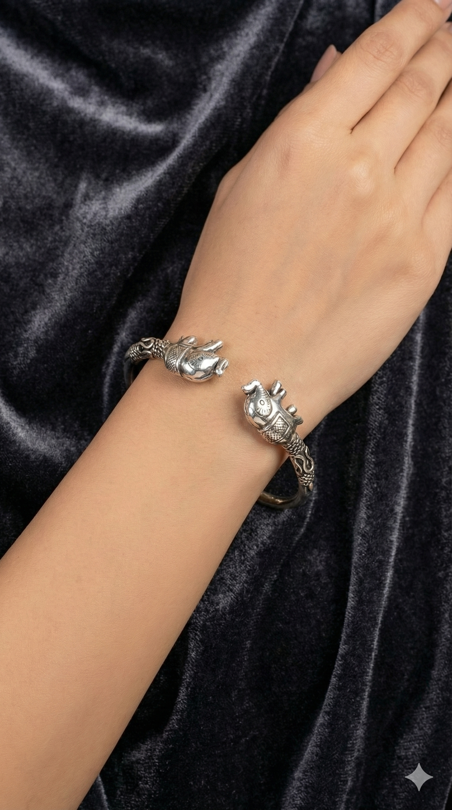 The Gajraj Silver Edition